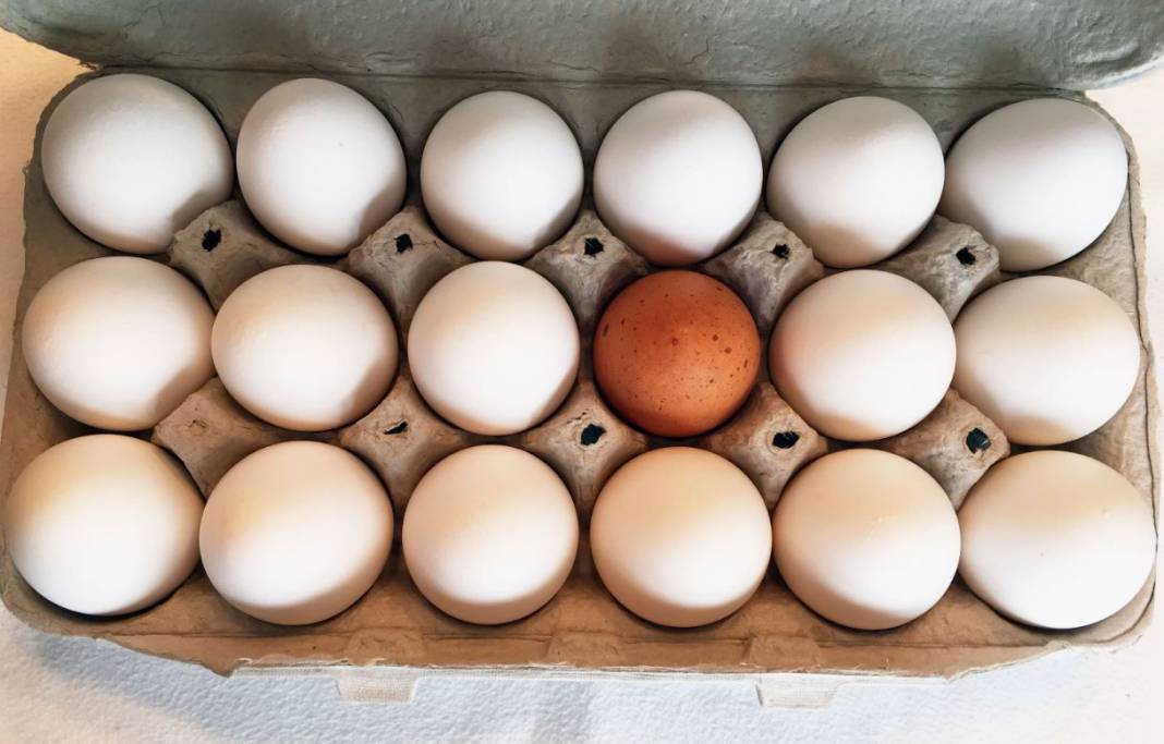Beyaz mı kahverengi mi? Hangi yumurta daha sağlıklı? 4